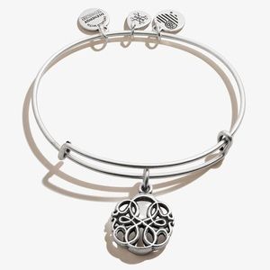 Alex and Ani Path of Life Energy (+) Bracelet
